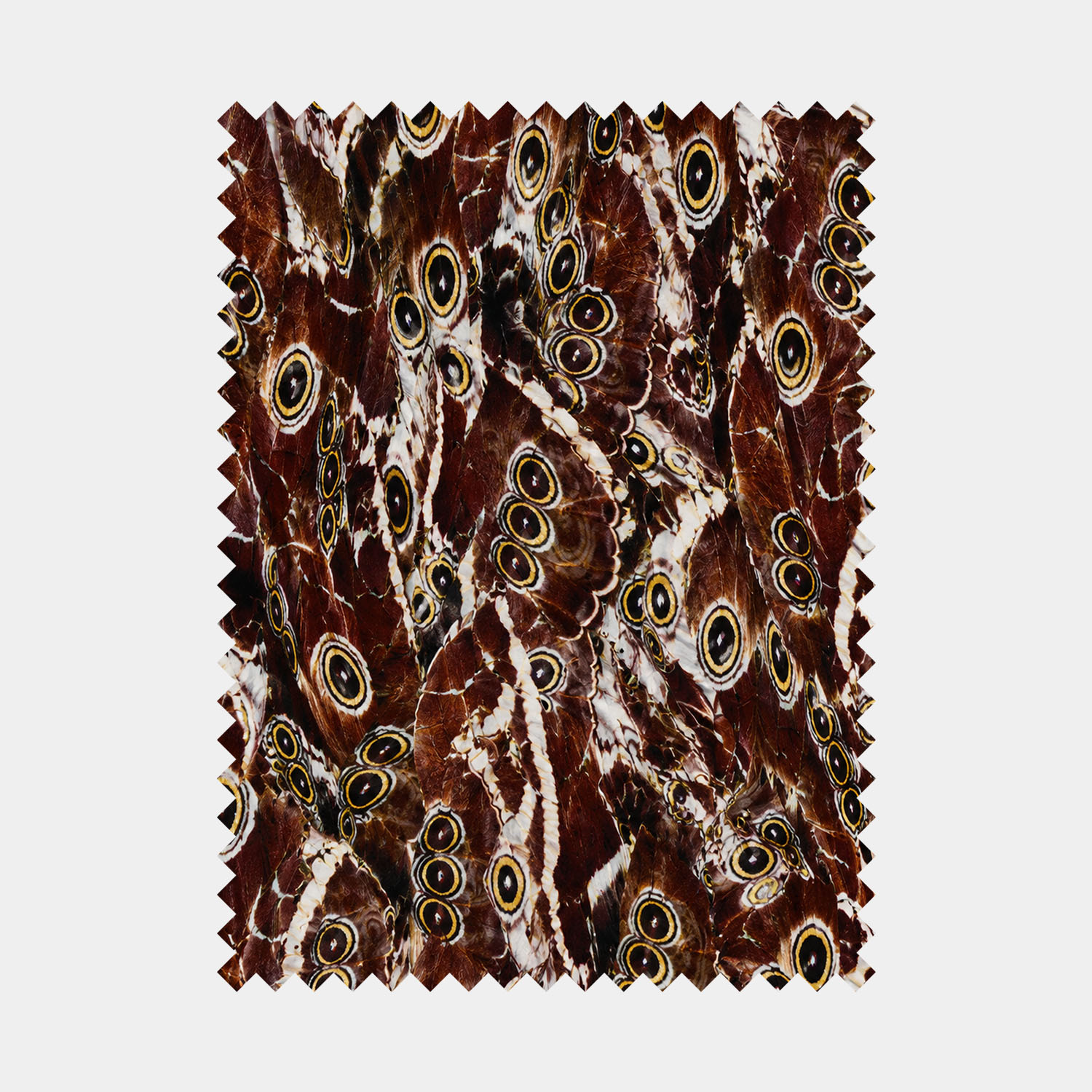 Owl Butterfly Wing Mosaic