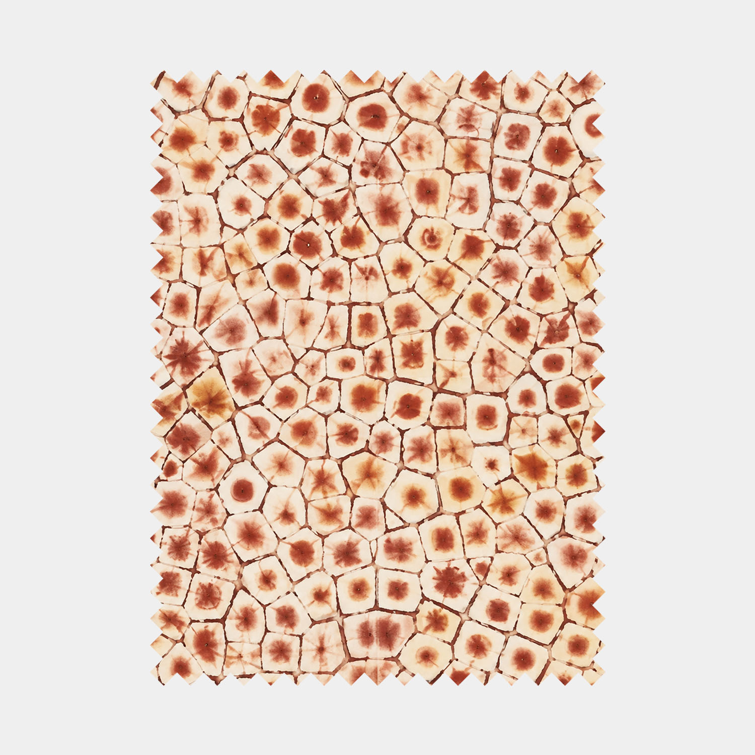 Terracotta Shibori Spiderweb
