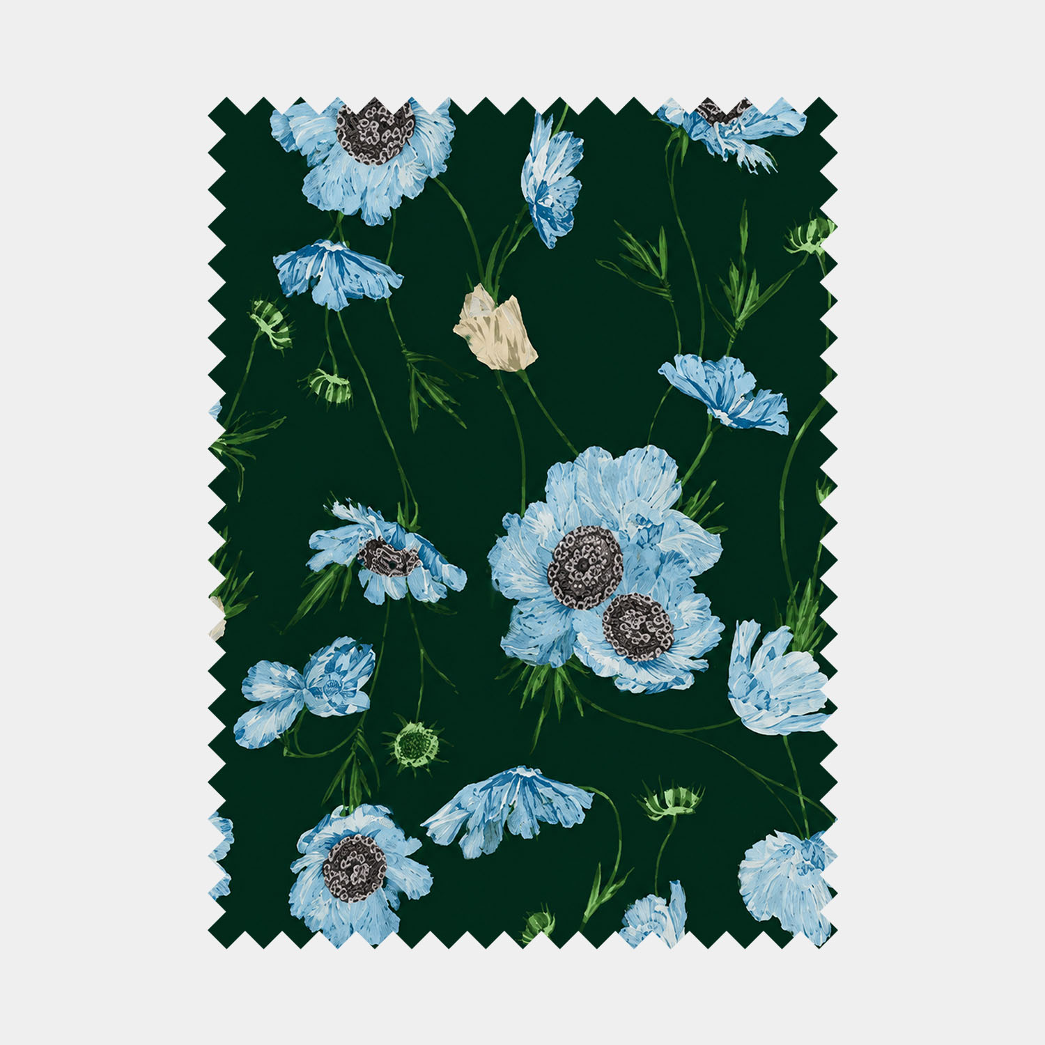 Midnight Azure Anemone